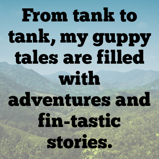 Guppy Captions Image For Instagram In (2025)-5gCewM