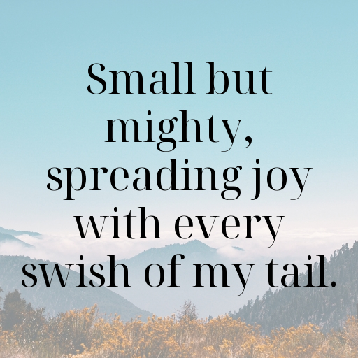 Guppy Captions Photo For Instagram In (2025)-7UUypm