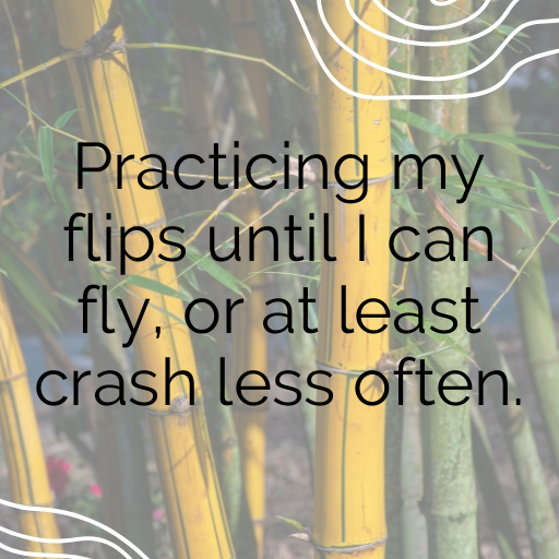 Gymnastics Captions Image for Instagram In [2025]-zyT1yv