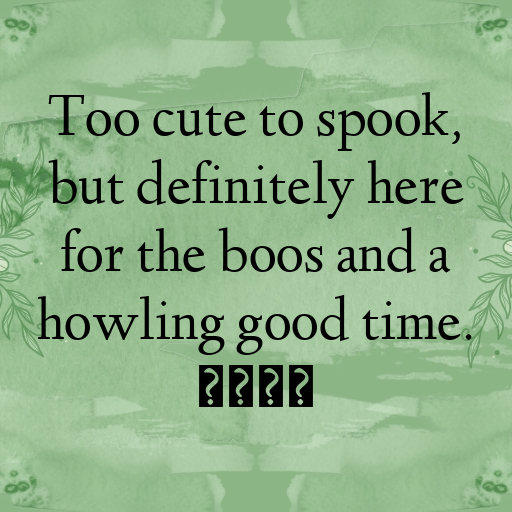 Halloween Captions Photo for Instagram In [2025]-OV67MO