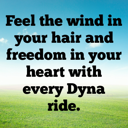 Harley-Davidson Dyna Captions Photo for Instagram In (2025)-WPaywz