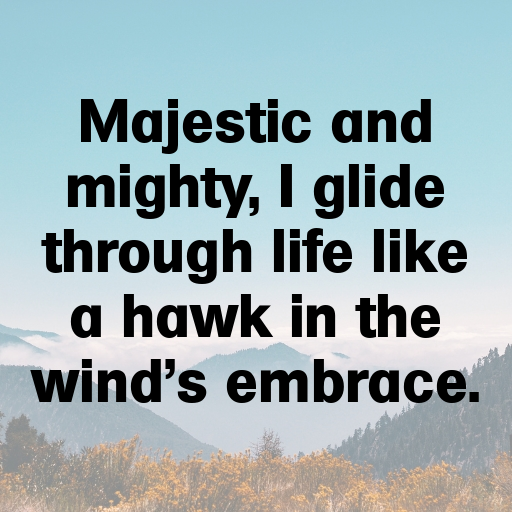 152+ Hawk Captions For Instagram In (2025) 9 Hawk Captions Image For Instagram In (2025)-BVgSGR