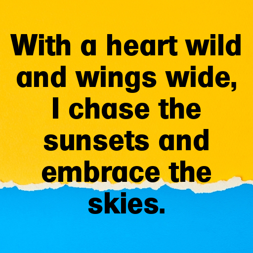 152+ Hawk Captions For Instagram In (2025) 10 Hawk Captions Photo For Instagram In (2025)-MYq25i