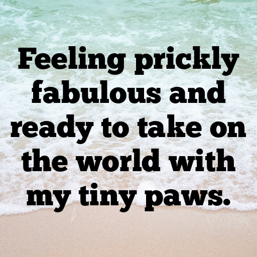 Hedgehog Captions Image For Instagram In 2025-FWJssy