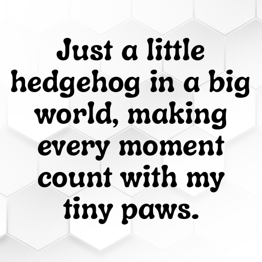Hedgehog Captions Image For Instagram In 2025-HIe6ef