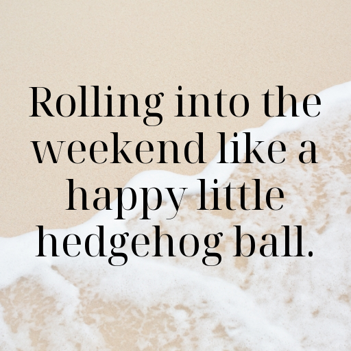 Hedgehog Captions Image For Instagram In 2025-uxVs3D