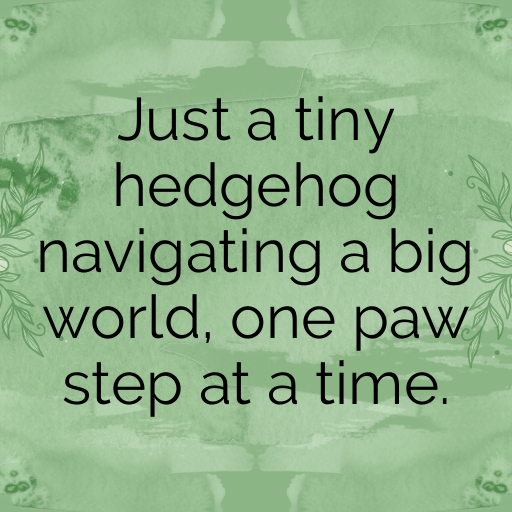 Hedgehog Captions Photo For Instagram In 2025-csHWiz