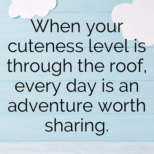 Hedgehog Captions Photo For Instagram In 2025-OSebeM