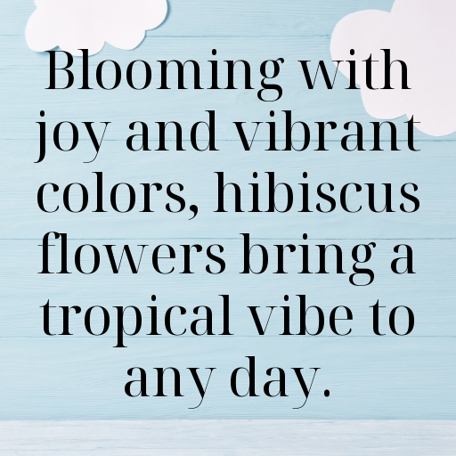 Hibiscus Captions Photo For Instagram In (2025)-hmQScn