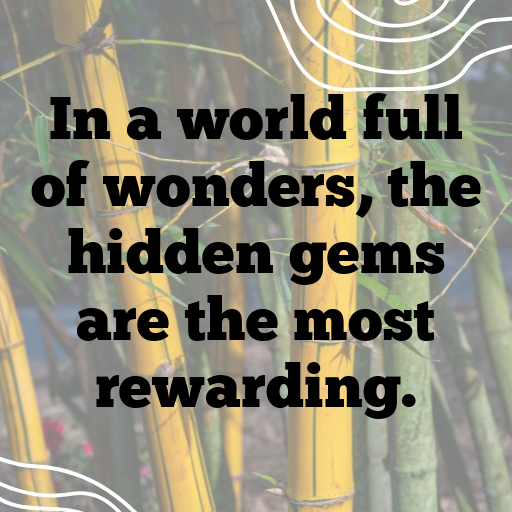 191+ Hidden Gem Captions for Instagram In (2025) 8 Hidden Gem Captions Image for Instagram In (2025)-g8pbAp