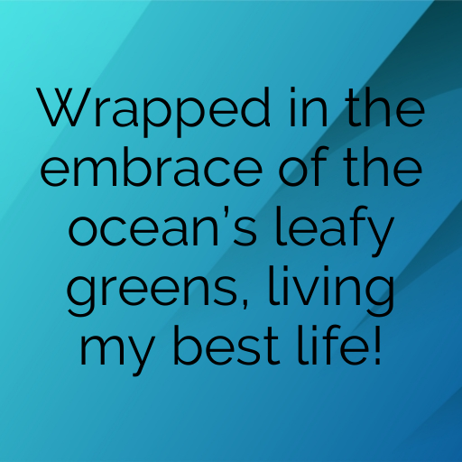 Hijiki Captions Image For Instagram In 2025-VqThZA