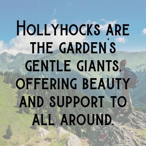 Hollyhock Captions Photo For Instagram In (2025)-rnNRcs