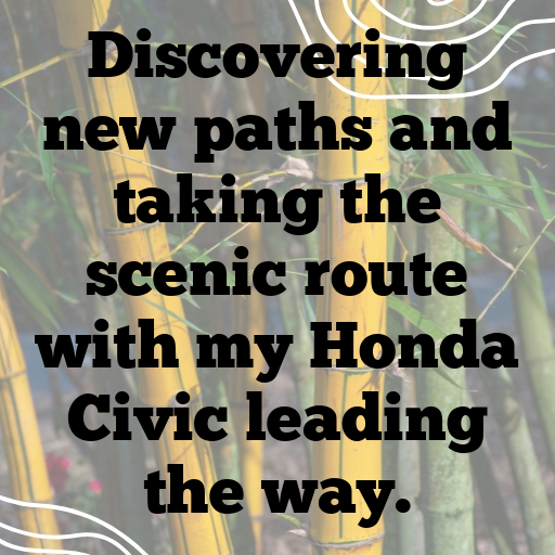 Honda Civic Captions Image for Instagram In [2025]-yX05mv