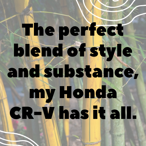 Honda CR-V Captions Photo for Instagram In (2025)-yblnK8