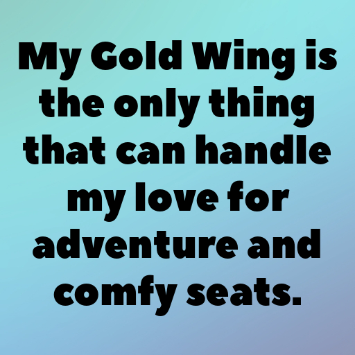 Honda Gold Wing Captions Photo for Instagram In [2025]-TAEGsC