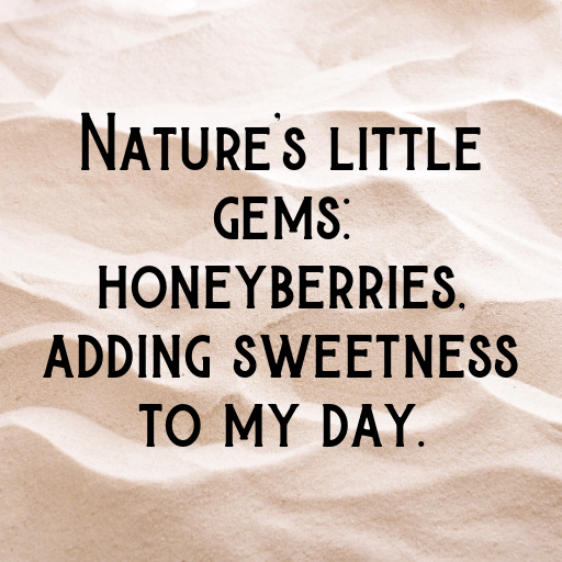 163+ Honeyberry Captions For Instagram In 2025 3 Honeyberry Captions Photo For Instagram In 2025-PsRxfC