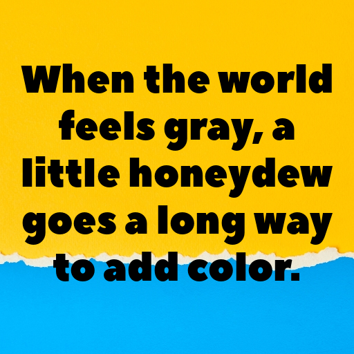 Honeydew Captions Photo For Instagram In 2025-gE0Wz4