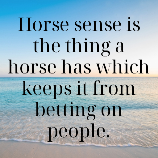 161+ Horse Captions For Instagram In (2025) 4 Horse Captions Image For Instagram In (2025)-uXLfqE