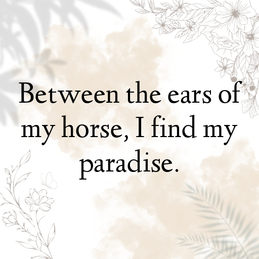 161+ Horse Captions For Instagram In (2025) 9 Horse Captions Photo For Instagram In (2025)-RnLv9R