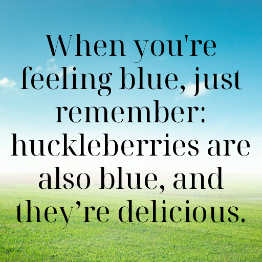 Huckleberry Captions Image For Instagram In 2025-Kz23AR