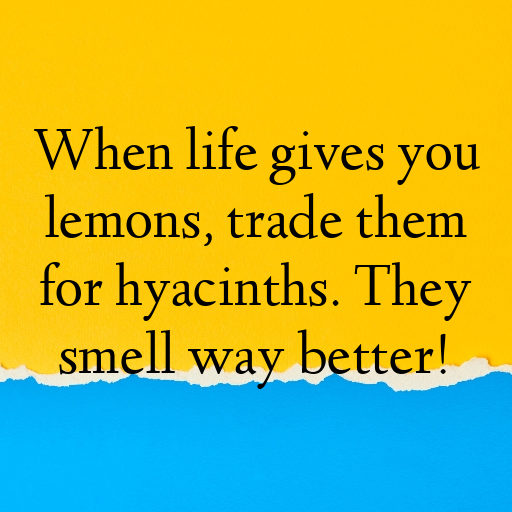 Hyacinth Captions Image For Instagram In [2025]-jJZ3L7