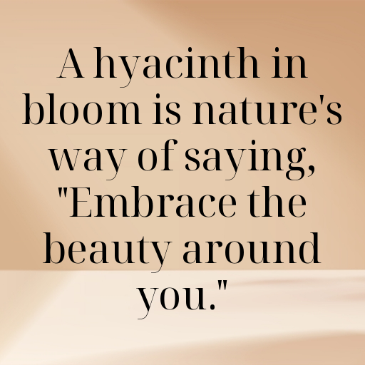 Hyacinth Captions Photo For Instagram In [2025]-rDvlVj