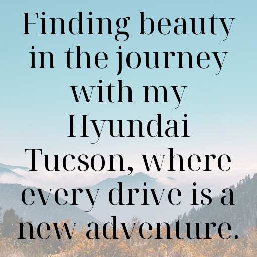 Hyundai Tucson Captions Photo for Instagram In [2025]-20Fxlt