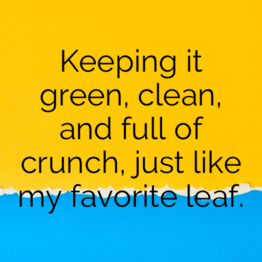 Iceberg Lettuce Captions Photo For Instagram In [2025]-Ns0gjN