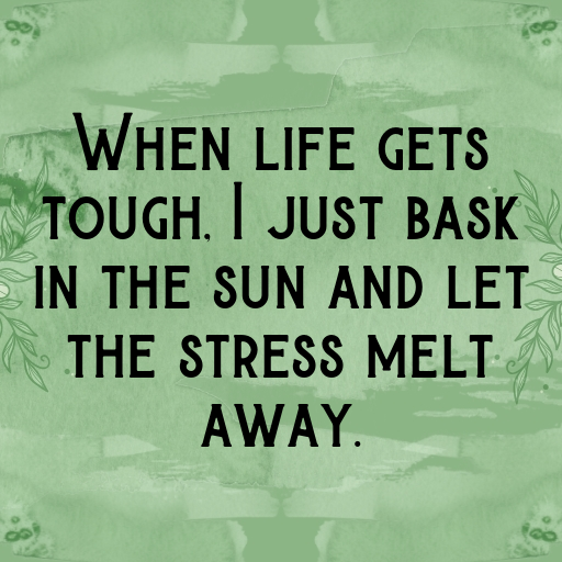 161+ Iguana Captions For Instagram In (2025) 6 Iguana Captions Image For Instagram In (2025)-FE4WAE