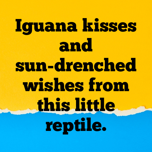 161+ Iguana Captions For Instagram In (2025) 4 Iguana Captions Photo For Instagram In (2025)-pwQ0A1