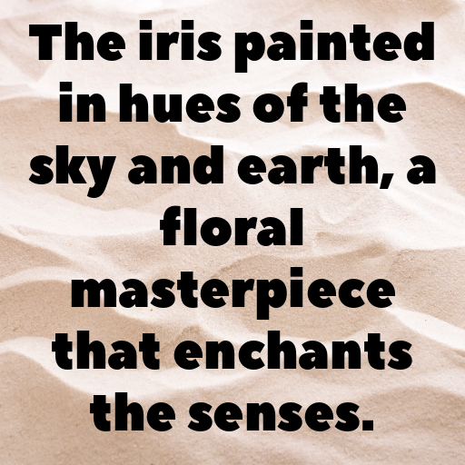 Iris Captions Image For Instagram In [2025]-vXUcGe