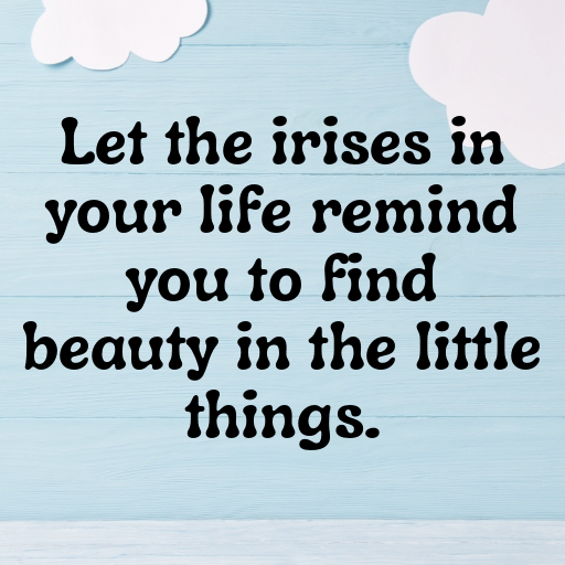 Iris Captions Photo For Instagram In [2025]-6SETrJ