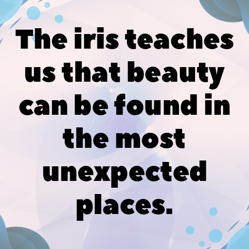 Iris Captions Photo For Instagram In [2025]-I2htgw