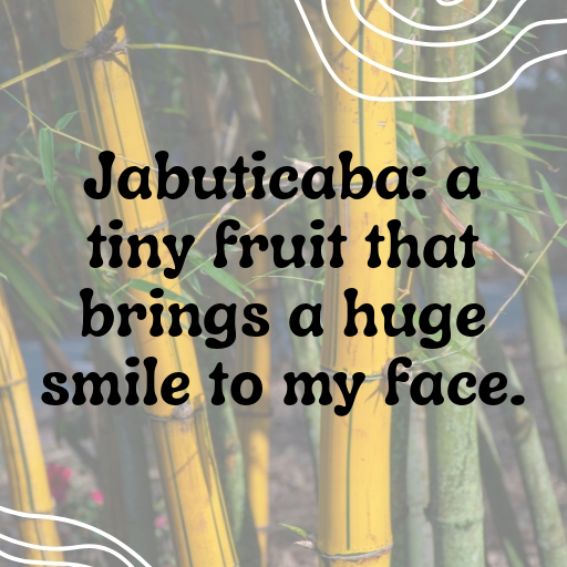 Jabuticaba Captions Photo For Instagram In [2025]-FegDCv