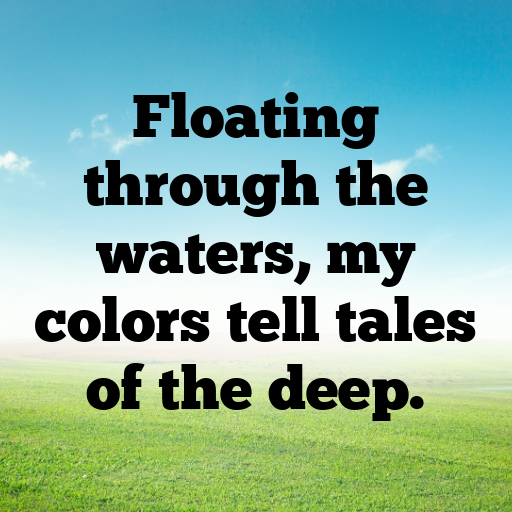 191+ Jellyfish Captions For Instagram In (2025) 5 Jellyfish Captions Image For Instagram In (2025)-e6F5Qu