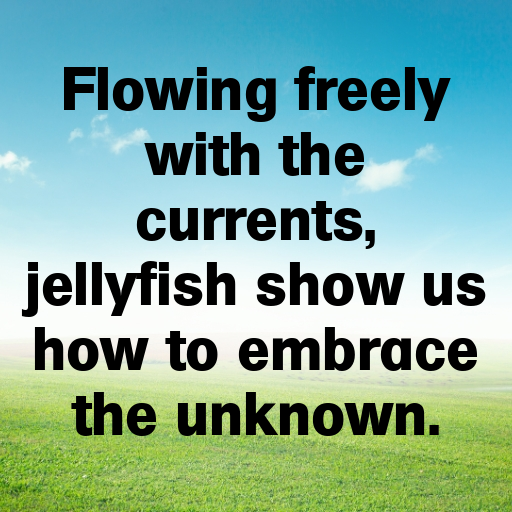 191+ Jellyfish Captions For Instagram In (2025) 9 Jellyfish Captions Image For Instagram In (2025)-jPi9vH