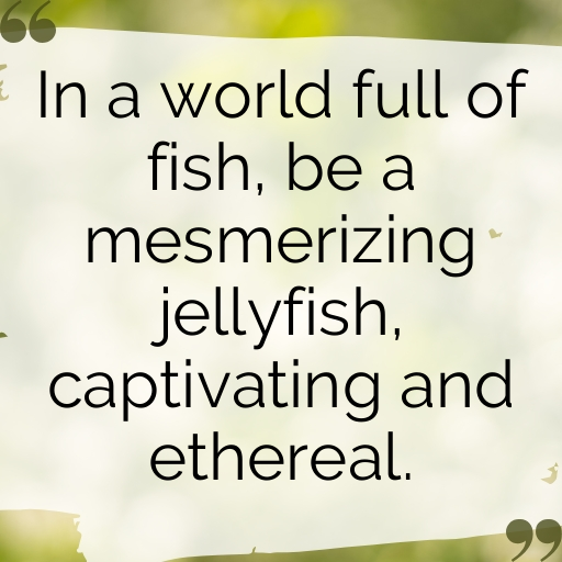 191+ Jellyfish Captions For Instagram In (2025) 3 Jellyfish Captions Image For Instagram In (2025)-OF7qAb