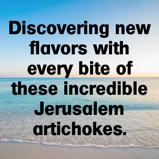 Jerusalem Artichoke Captions Photo For Instagram In [2025]-gq60p6