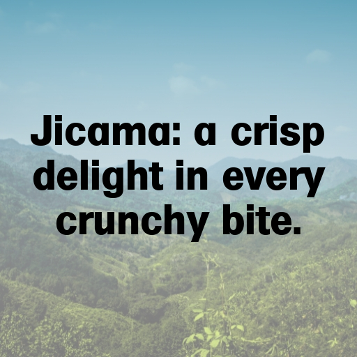 Jicama Captions Photo For Instagram In [2025]-h1kp3x