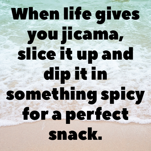 Jicama Captions Photo For Instagram In [2025]-rNhC8q