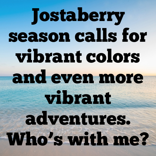 161+ Jostaberry Captions For Instagram In 2025 9 Jostaberry Captions Image For Instagram In 2025-FNkaqp