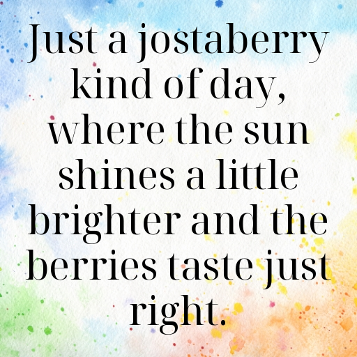 161+ Jostaberry Captions For Instagram In 2025 10 Jostaberry Captions Photo For Instagram In 2025-xEaDPo