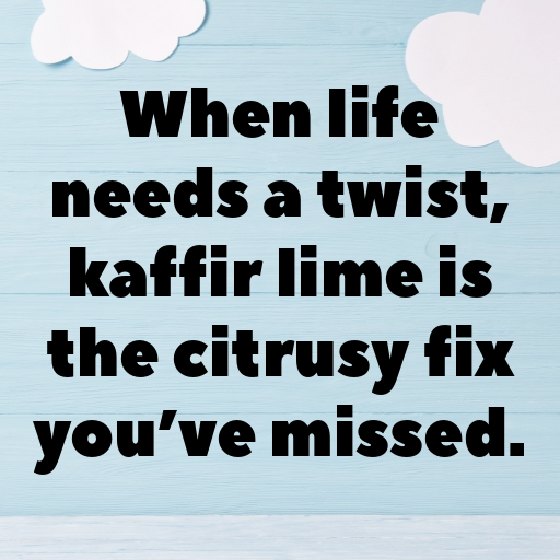 Kaffir Lime Captions Image For Instagram In (2025)-yF1Oat