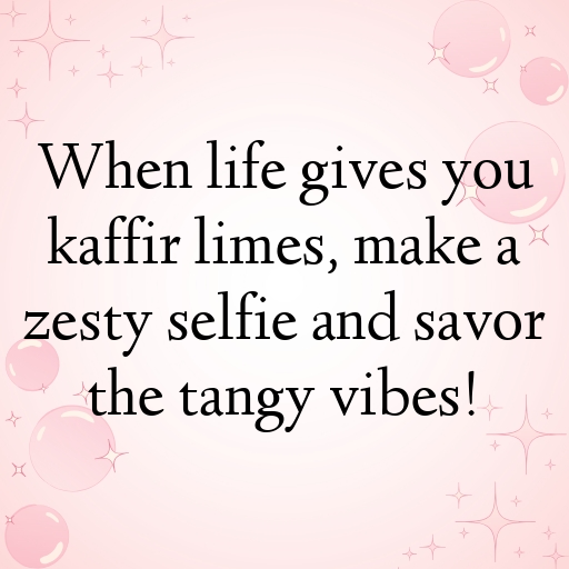 Kaffir Lime Captions Photo For Instagram In (2025)-VTImwA
