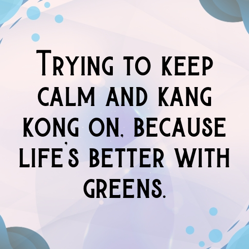 184+ Kang Kong Captions For Instagram In (2025) 4 Kang Kong Captions Photo For Instagram In (2025)-ZVfzI5