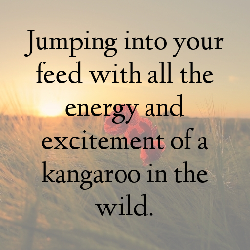 152+ Kangaroo Captions For Instagram In 2025 3 Kangaroo Captions Image For Instagram In 2025-Awf8bh