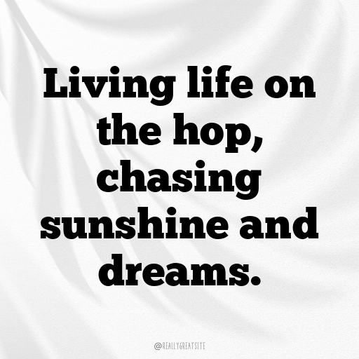 152+ Kangaroo Captions For Instagram In 2025 5 Kangaroo Captions Image For Instagram In 2025-MXDbAn