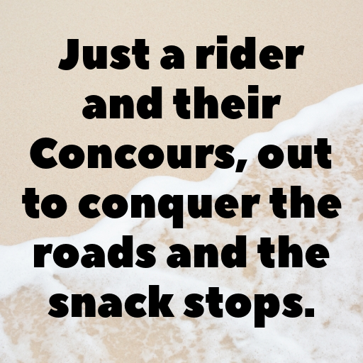 Kawasaki Concours Captions Photo for Instagram In (2025)-3GsZ6T