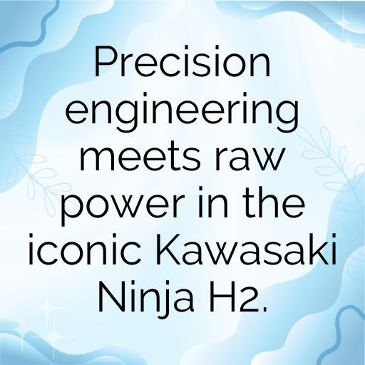 198+ Kawasaki Ninja H2 Captions for Instagram In (2025) 10 Kawasaki Ninja H2 Captions Photo for Instagram In (2025)-DDV3cd