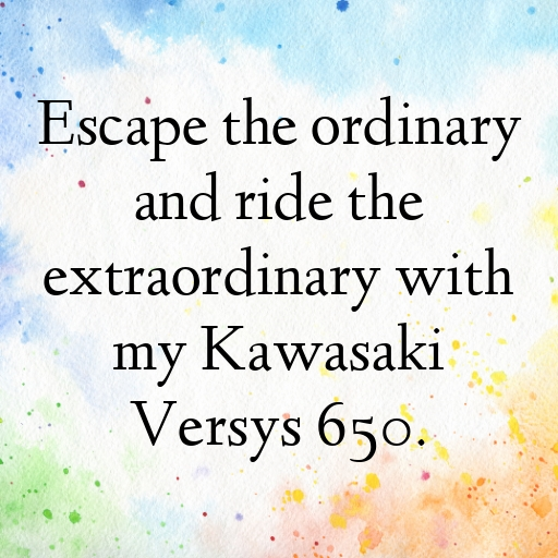 Kawasaki Versys 650 Captions Image for Instagram In [2025]-zRUzAo